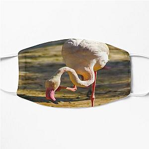 Flim Flam Face Masks - Flim Flam Flamingo Flat Mask RB0106 [ID8583]