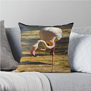 Flim Flam Backpacks - Flim Flam Flamingo Throw Pillow RB0106 [9041] [ID9041]