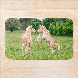 Funny Haflinger foals playing on a bath mat