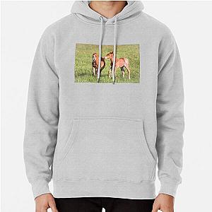 Foals Playing Pullover Hoodie