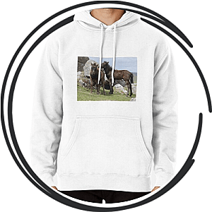 Foals Hoodies