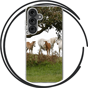 Foals Cases