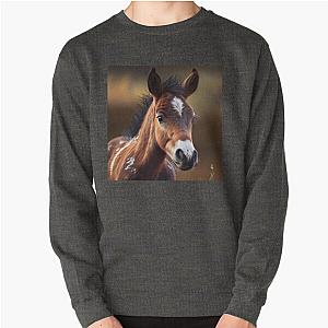 Baby Foal Pullover