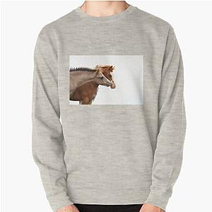 Colt Foals Sweatshirt