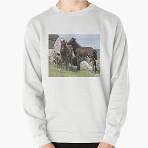 Dartmoor Pony Foal Sweatshirt