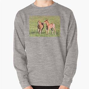 Foals Playing 1058 Pullover Sweatshirt