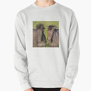 Two Foals Pullover Sweatshirt