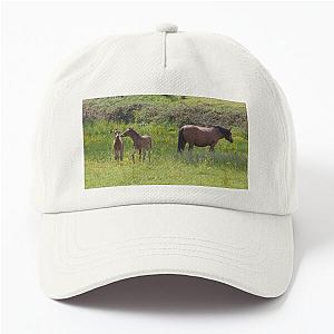 New Forest Foals