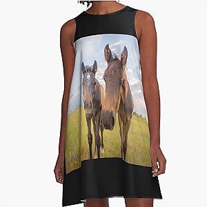 Two curious foals, horses, colt and filly A-Line Dress