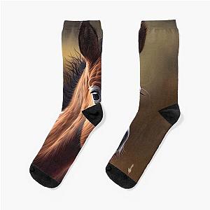 Baby foal Socks