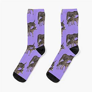 Donkey twins and their foals Socks