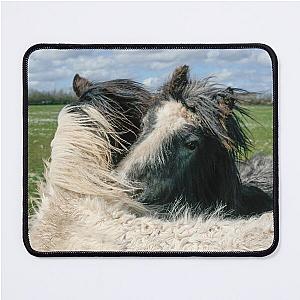 Irish Foals Mouse Pad