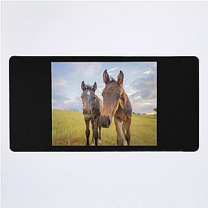 Two Curious Foals Baby Horses Colt and Filly Desk Mat