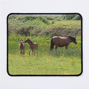 New Forest Foal Mouse Pad