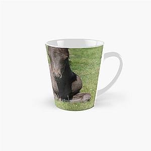 Dartmoor foal Mug