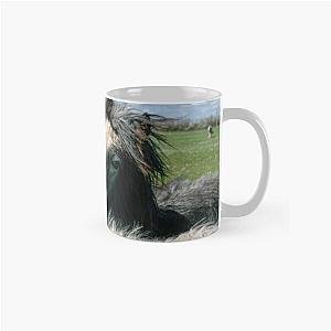 Irish Foal Classic Mug