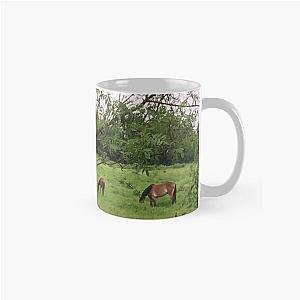 Foraging Foal Classic Mug