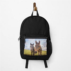Two curious foals and horses filly Backpack
