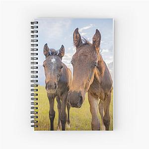 Two curious foals and baby horses or colt and filly notebook.