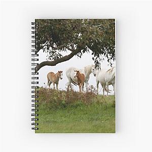 Mares and Foals Spiral Notebook