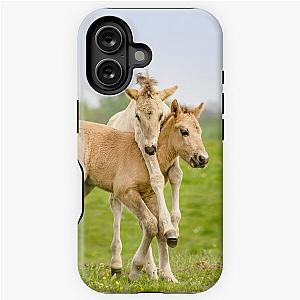 Funny Konik Foals Playing Together in Spring