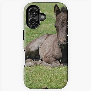 Dartmoor Foals iPhone Tough Case
