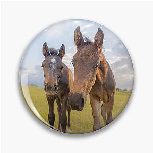 Two curious foals, baby horses, colts and filly Pin
