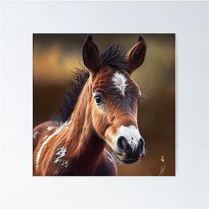 Baby Foals Poster