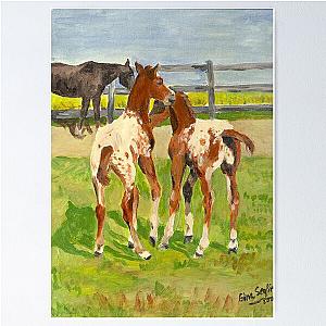 Playtime Appaloosa Foals Poster
