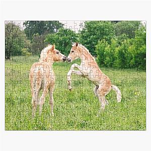 Funny Haflinger Foals Rearing Jigsaw Puzzle