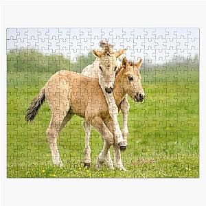 Funny Konik foals playing together in spring Jigsaw Puzzle