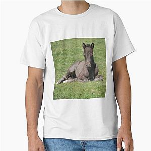 Dartmoor foals T-shirt