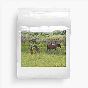 New Forest Foal Cover