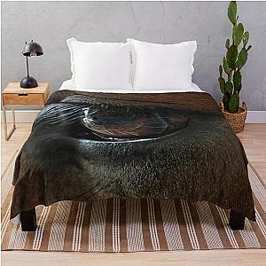 Shire Foal Blanket