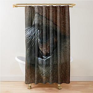 Shire Foal's eye Shower Curtain