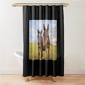 Two curious foals and colt & filly Shower Curtain
