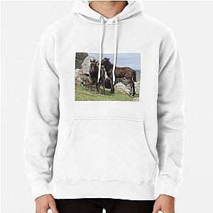 Dartmoor Pony Foal Hoodie