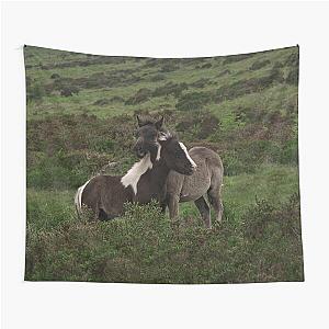 Wild Dartmoor Foal Tapestry