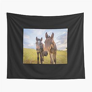 Two Curious Foals, Colt and Filly Tapestry