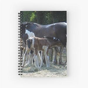 Mares and their foals. Spiral Notebook