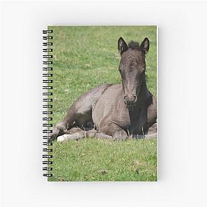 Dartmoor foals Spiral Notebook