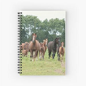 Mares and foals, Normandy Spiral Notebook