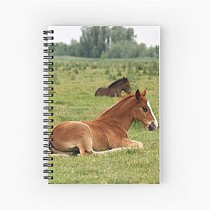 foals lying on pasture Spiral Notebook