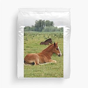 foals lying on pasture Duvet Cover