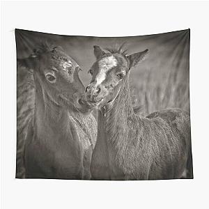 Two foals Tapestry