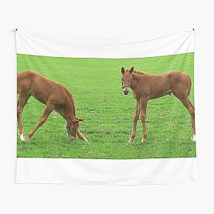 Twin Foals Tapestry