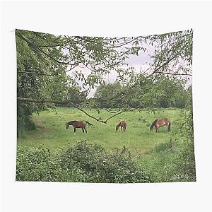 Foraging Foals Tapestry