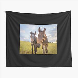 two curious foals, baby horses, colt & filly Tapestry