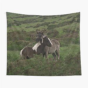 Wild Dartmoor Foals Tapestry