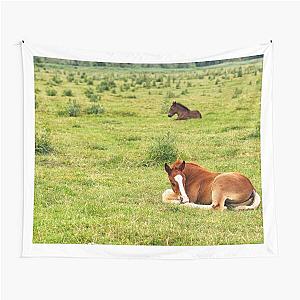 two foals lying on pasture nature scene Tapestry